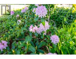 1495 Baikie Rd, Denman Island, BC V0R1T0 Photo 26