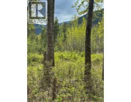 Highway 6 Lot# 2, Passmore, BC V0G2E0 Photo 16