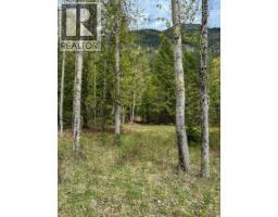 Highway 6 Lot# 2, Passmore, BC V0G2E0 Photo 11