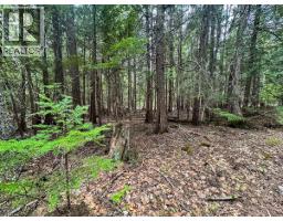 Highway 6 Lot# 2, Passmore, BC V0G2E0 Photo 22