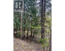 Highway 6 Lot# 2, Passmore, BC V0G2E0 Photo 28