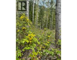 Highway 6 Lot# 2, Passmore, BC V0G2E0 Photo 8