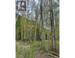 Highway 6 Lot# 2, Passmore, BC V0G2E0 Photo 14