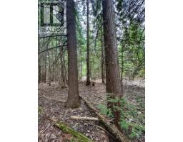 Highway 6 Lot# 2, Passmore, BC V0G2E0 Photo 23