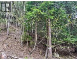 Highway 6 Lot# 2, Passmore, BC V0G2E0 Photo 31