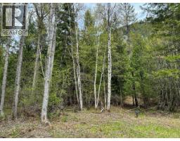 Highway 6 Lot# 2, Passmore, BC V0G2E0 Photo 9