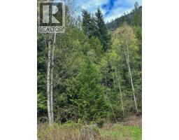Highway 6 Lot# 2, Passmore, BC V0G2E0 Photo 15