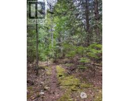 Highway 6 Lot# 2, Passmore, BC V0G2E0 Photo 21