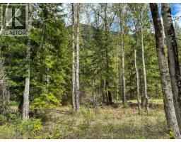 Highway 6 Lot# 2, Passmore, BC V0G2E0 Photo 10