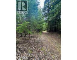 Highway 6 Lot# 2, Passmore, BC V0G2E0 Photo 24
