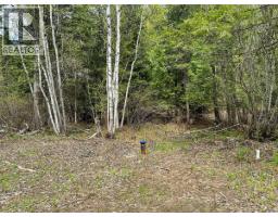 Highway 6 Lot# 2, Passmore, BC V0G2E0 Photo 13