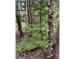 Highway 6 Lot# 2, Passmore, BC V0G2E0 Photo 29