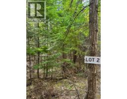 Highway 6 Lot# 2, Passmore, BC V0G2E0 Photo 33