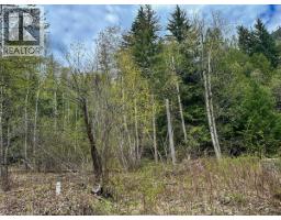 Highway 6 Lot# 2, Passmore, BC V0G2E0 Photo 12