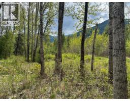Highway 6 Lot# 2, Passmore, BC V0G2E0 Photo 7