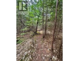 Highway 6 Lot# 2, Passmore, BC V0G2E0 Photo 18