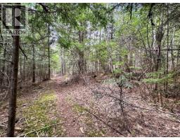 Highway 6 Lot# 2, Passmore, BC V0G2E0 Photo 17
