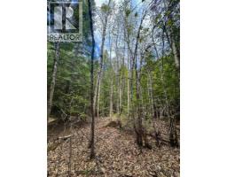 Highway 6 Lot# 2, Passmore, BC V0G2E0 Photo 19