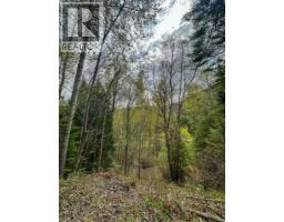 Highway 6 Lot# 2, Passmore, BC V0G2E0 Photo 25