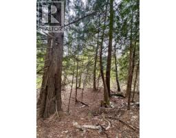 Highway 6 Lot# 2, Passmore, BC V0G2E0 Photo 30