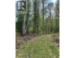 Highway 6 Lot# 2, Passmore, BC V0G2E0 Photo 32