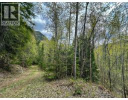Highway 6 Lot# 2, Passmore, BC V0G2E0 Photo 26
