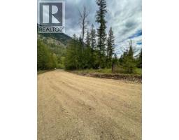 Highway 6 Lot# 2, Passmore, BC V0G2E0 Photo 34