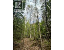 Highway 6 Lot# 2, Passmore, BC V0G2E0 Photo 20