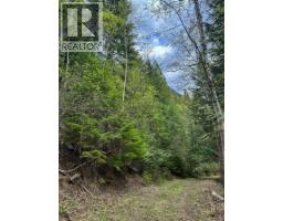 Highway 6 Lot# 2, Passmore, BC V0G2E0 Photo 27