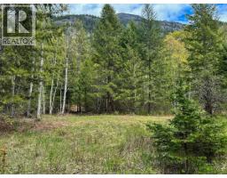 Highway 6 Lot# 2, Passmore, BC V0G2E0 Photo 6