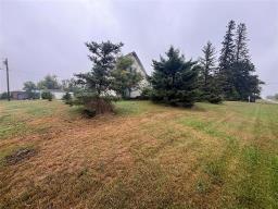 227 Weir (holmfield) Street, Killarney, MB R0K1A0 Photo 6