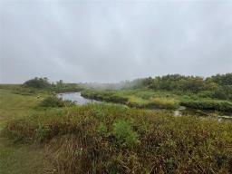 227 Weir (holmfield) Street, Killarney, MB R0K1A0 Photo 7