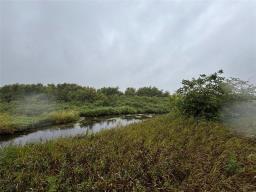 227 Weir (holmfield) Street, Killarney, MB R0K1A0 Photo 9