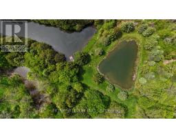 21021 Cherry Hill Road, Thames Centre, ON N0M2M0 Photo 19