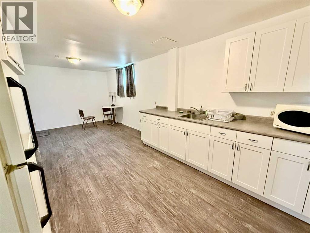 Basement Kitchen