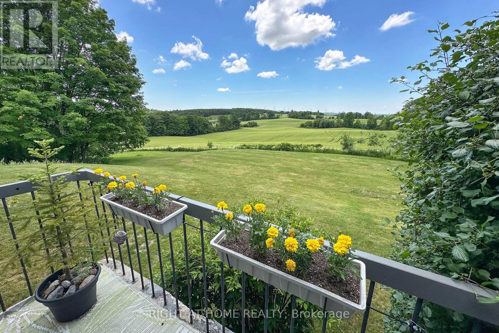 3710 SKELDING ROAD - 37