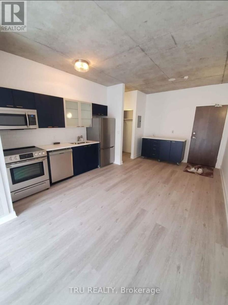 #412 383 CUMBERLAND STREET - 25