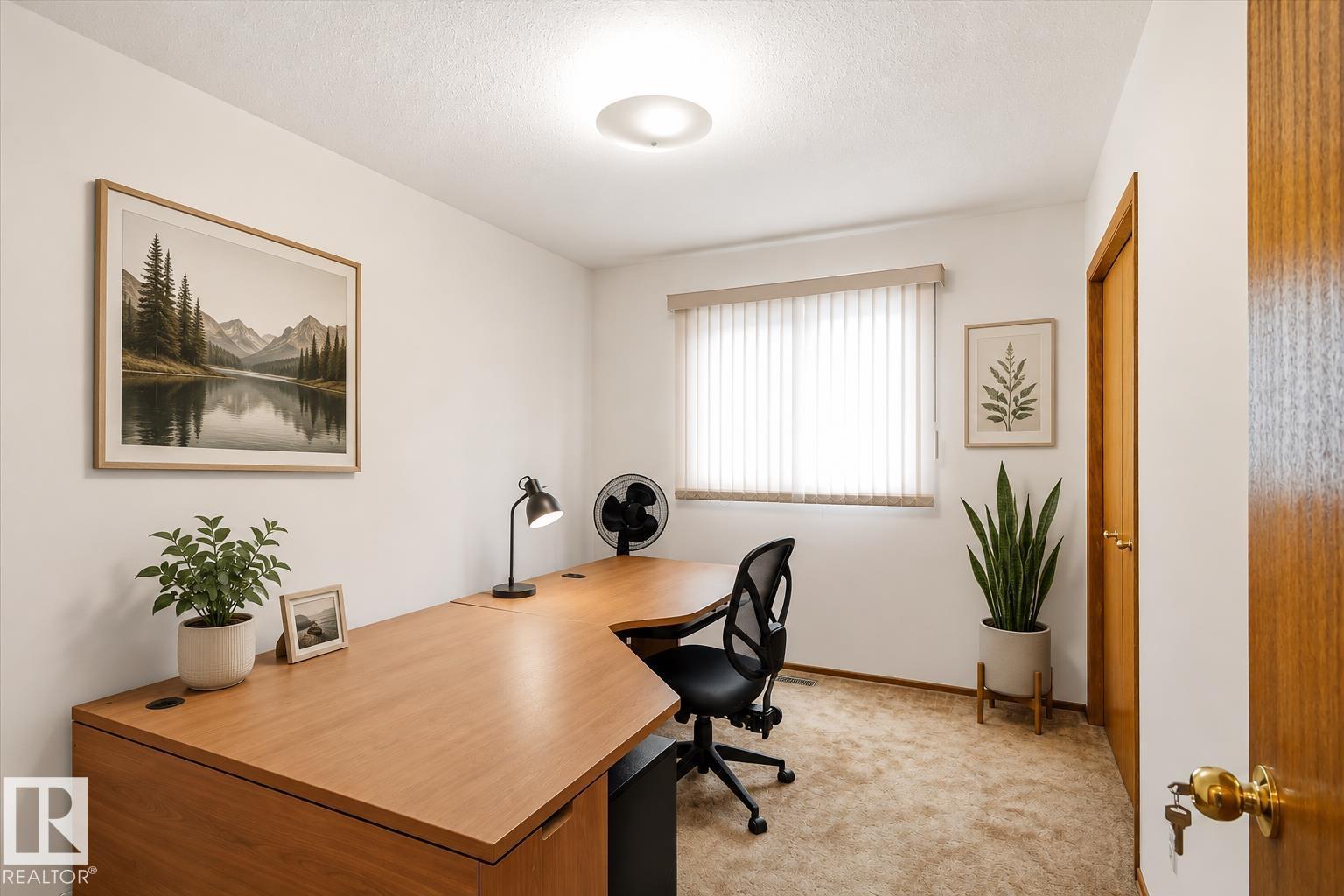 244 NORTHMOUNT DR - 20