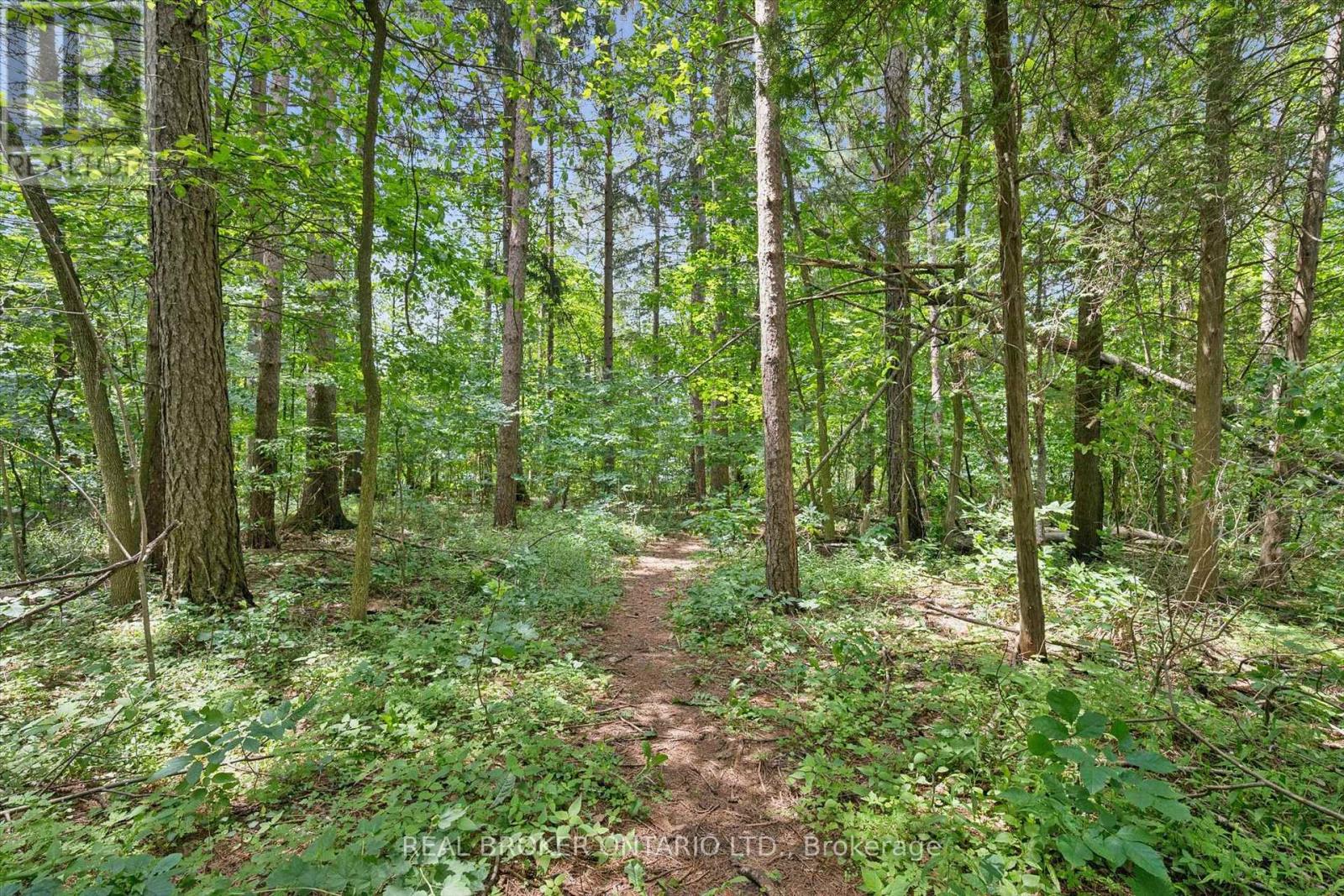 127 CEDAR CRESCENT - Image 19