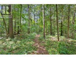 127 Cedar Crescent, Centre Wellington, ON N1M2W5 Photo 19
