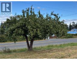 Lot A Ross Ave, Royston, BC V0R2V0 Photo 13
