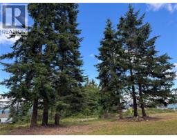 Lot A Ross Ave, Royston, BC V0R2V0 Photo 7