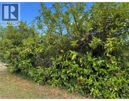 Lot A Ross Ave, Royston, BC V0R2V0 Photo 16