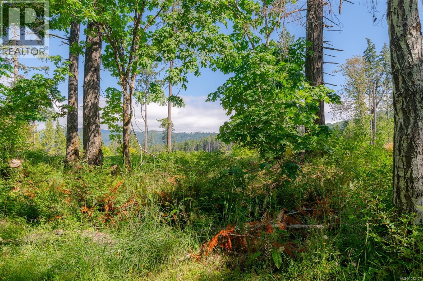 2453 Old Nanaimo Hwy - 74