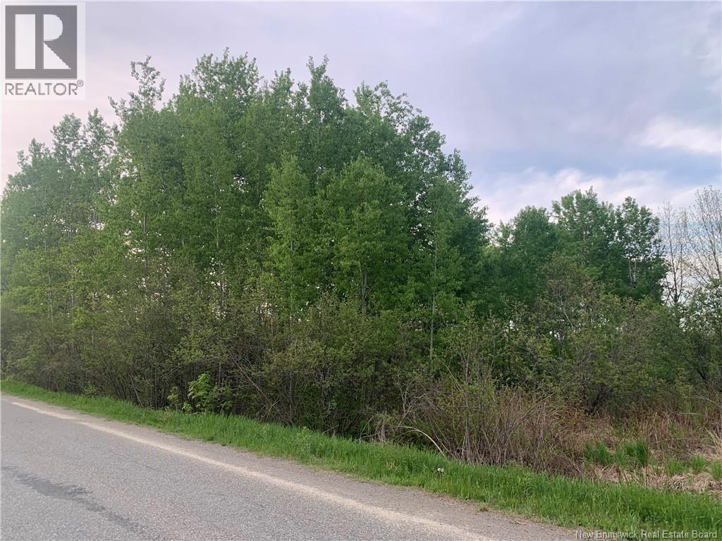 Land Route 122, Fosterville — photo 3