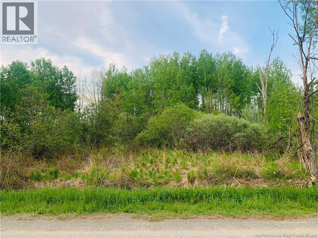 Land Route 122, Fosterville — photo 2