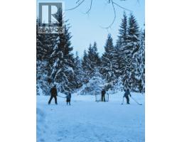 20 1530 Tynebridge Lane, Whistler, BC V8E0L3 Photo 13
