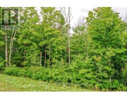 8 Forest Heights Court, Oro Medonte, ON L0L2E0 Photo 45