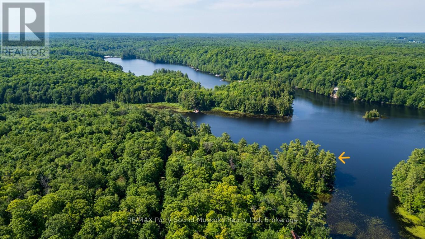 509 HORSESHOE LAKE WA (BEAR LANE) - 45