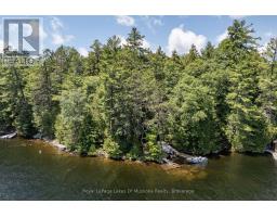 19687 Kawagama North Shore, Algonquin Highlands, ON P0A1E0 Photo 33